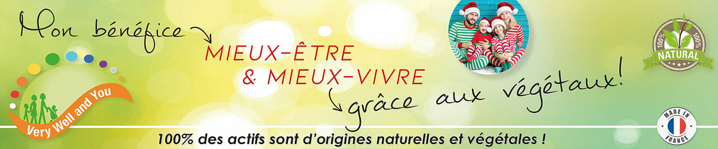 Bannière_eboutique_noel